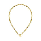 Hugo Boss Gold Stainless Steel Necklace